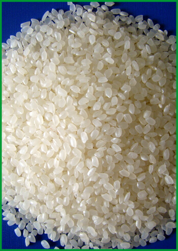 Gạo Japonica - Tổng Công Ty Lương Thực Miền Nam